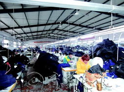 一個(gè)濱州人的服裝企業(yè)夢(mèng)