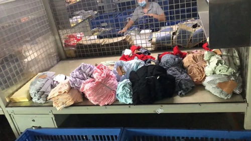 走訪中山市寶路易服飾 品質(zhì)與創(chuàng)新的時(shí)尚領(lǐng)航者