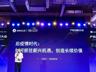 大宇无限叶哲玮:新常态下的出海新兴趋势与价值创造